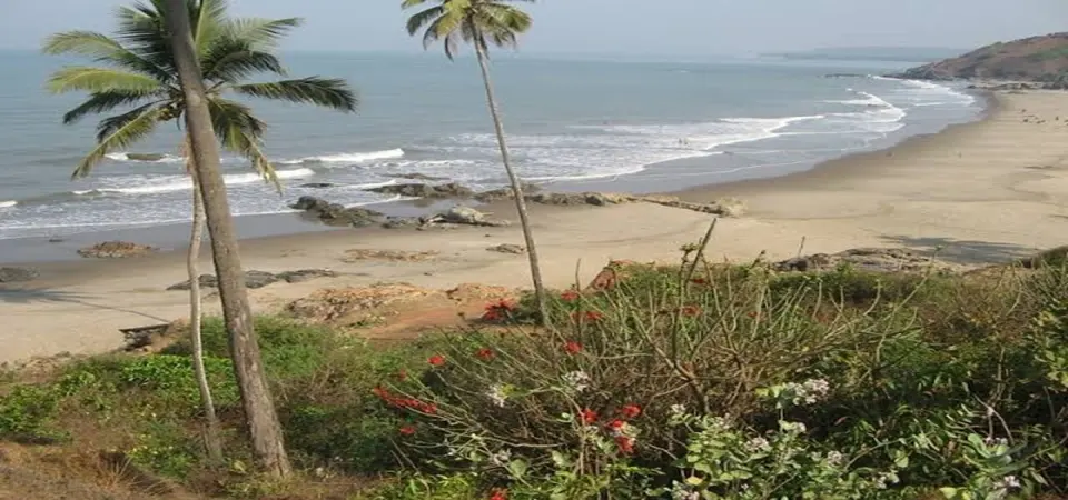 North Goa Sightseeing by AC Bus